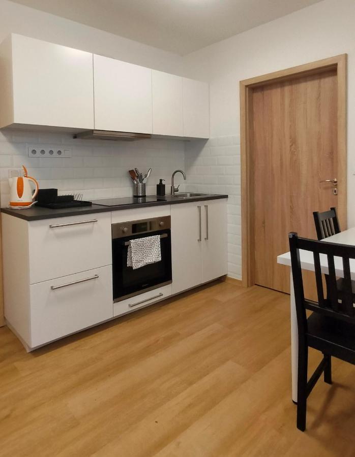 Apartment Stankova Brno Exteriér fotografie